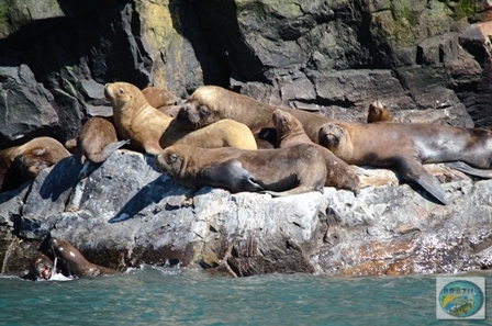 Fotos da pesca esportiva em Chaiten no Chile